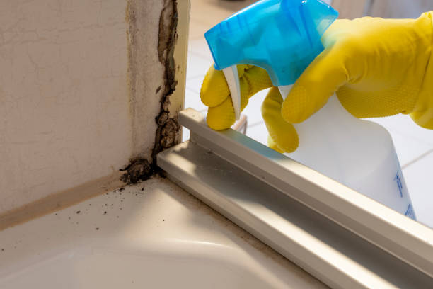 Best HVAC Mold Remediation in Harlem, GA